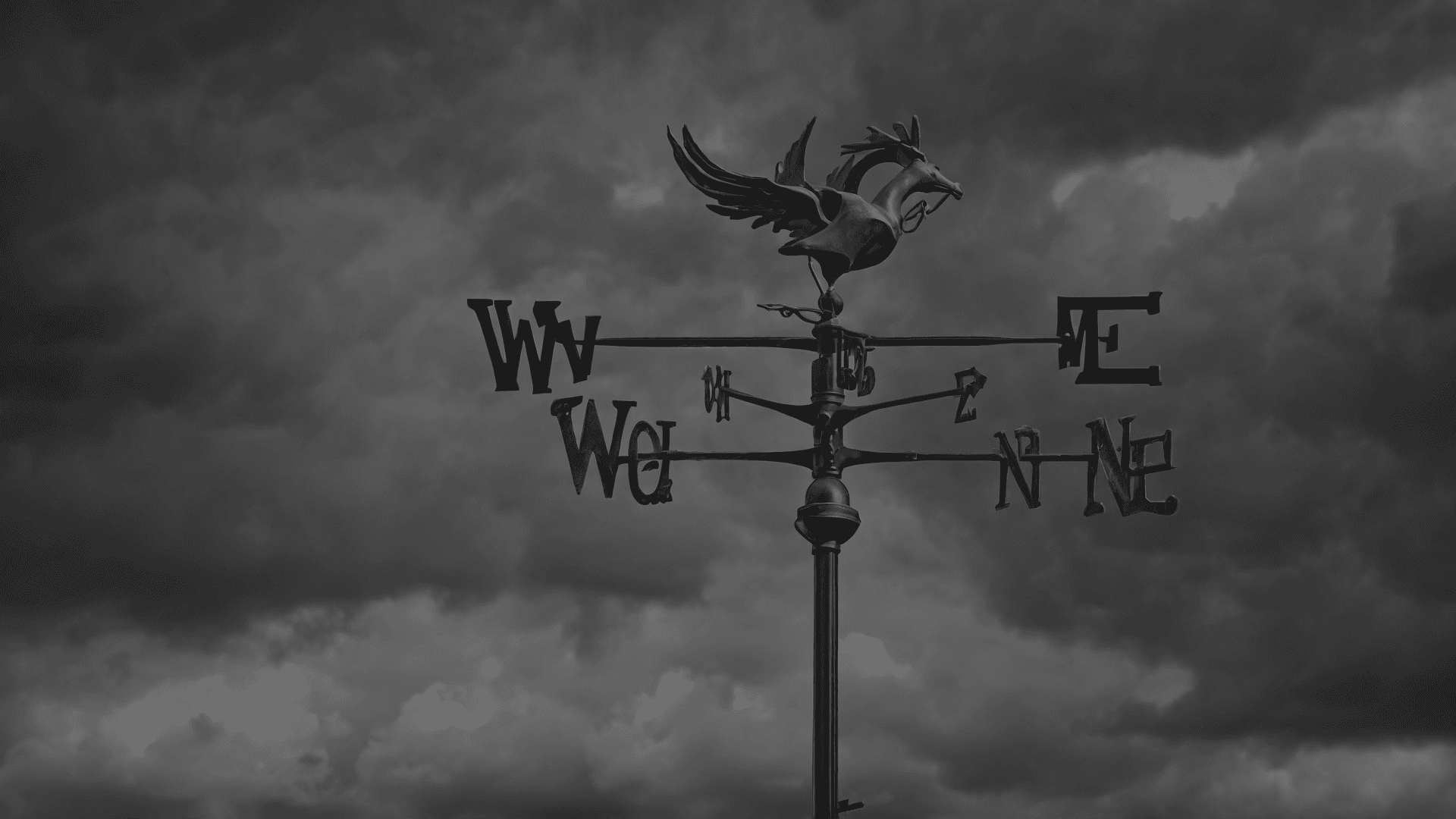 028 Adaptability and Agility